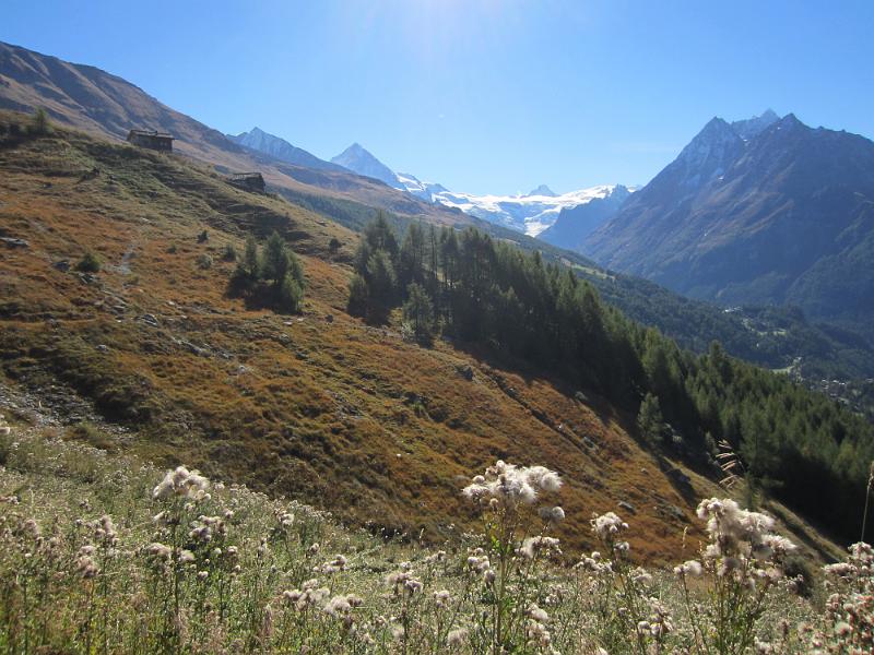 20121003_113000_Val_dHerens 006.JPG